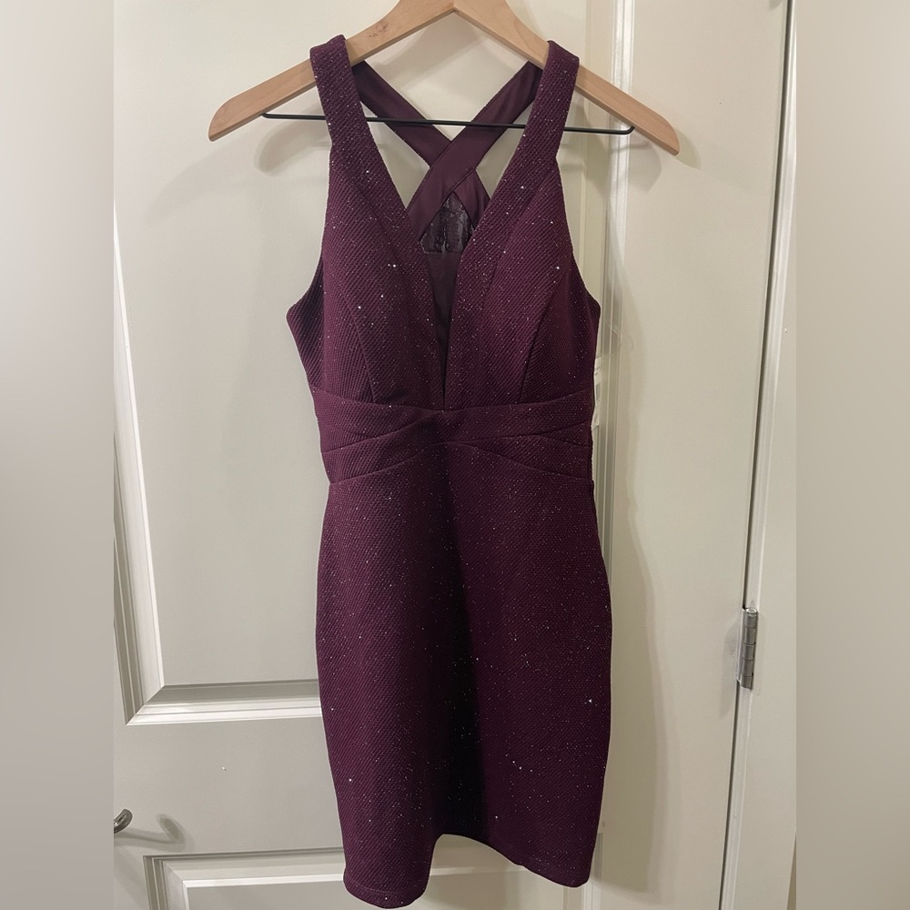 Xtraordinary Sparkling Burgundy Mini Dress